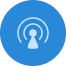 check-icon