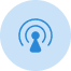 check-icon